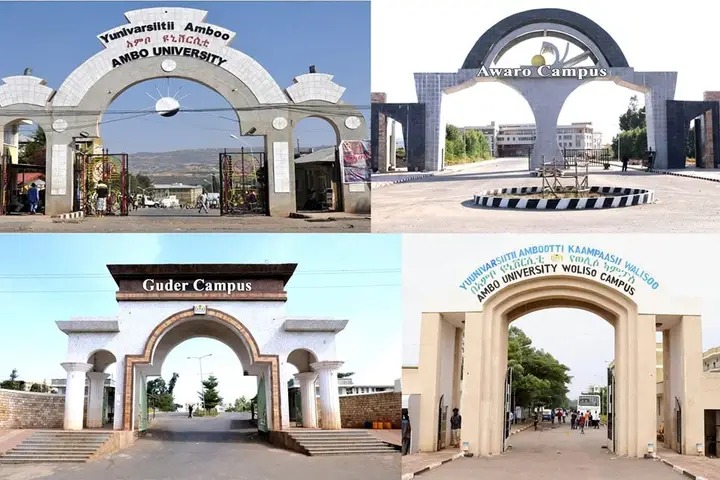 Ambo University main gate
