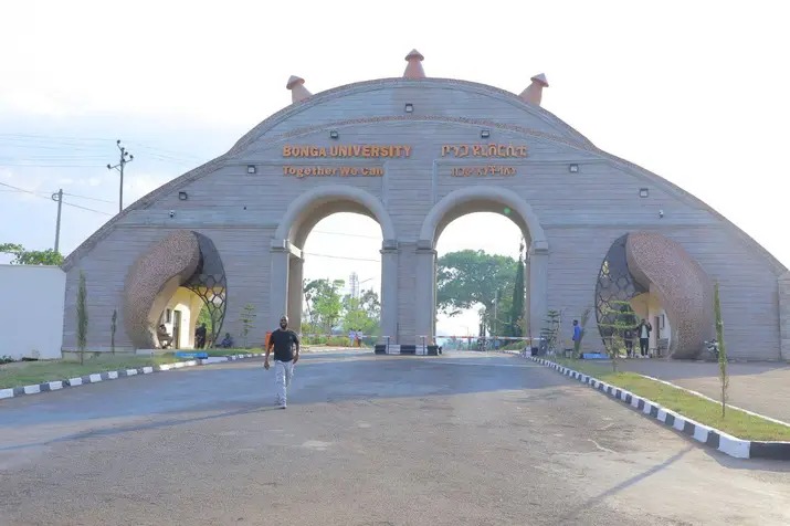 Bonga University main gate