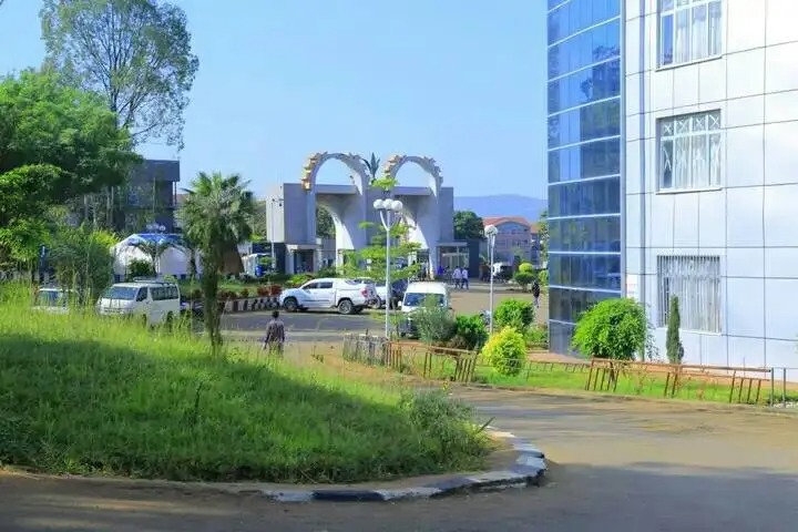 Dilla University main gate