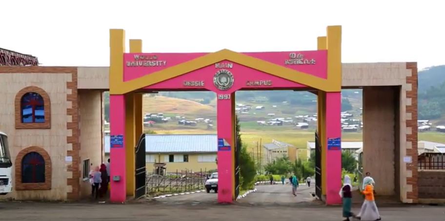 Wollo University main gate