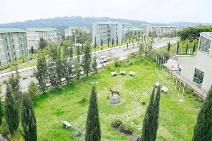 Debark University main gate